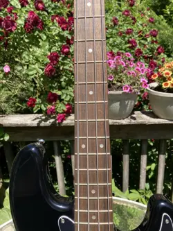 2019 SQUIER