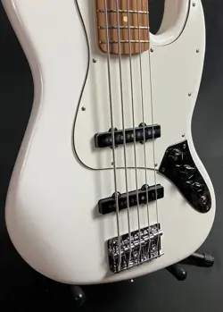 BASS 5-STRING BASS