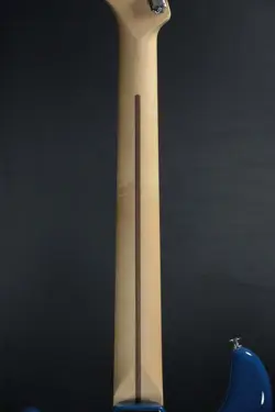 STRATOCASTER MAPLE FOREST