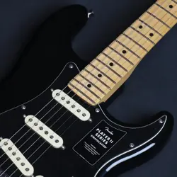 PICKGUARD MAPLE FINGERBOARD