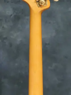 ANNIVERSARY COMMEMORATIVE PRECISION