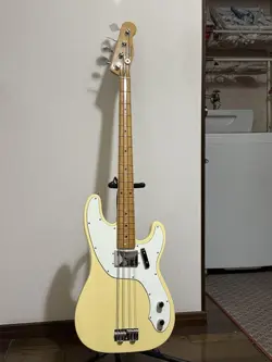 TELECASTERBASS SAFE DELIVERY