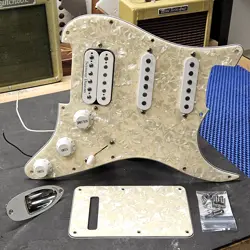 PICKGUARD DUNCAN PGP