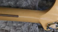 SPECIAL EDITION CLASSIC