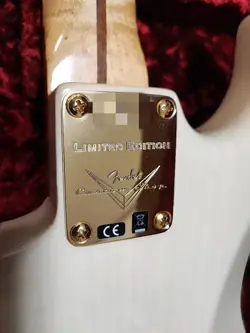 1957 STRATOCASTER SAFE