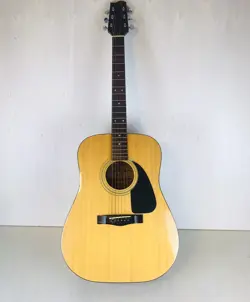 FENDER GEMINI II ACOUSTIC GUITAR W/HARD CASE