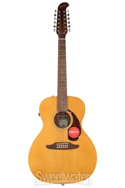 12-STRING ACOUSTIC-ELECTRIC