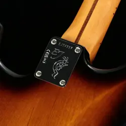 JOHNSON STRATOCASTER COLOR