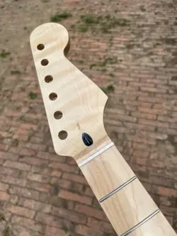MAPLE 22FRET
