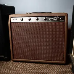PRINCETON AMP BROWN