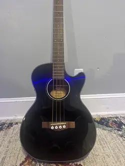 ACOUSTIC-ELECTRICCONCERT