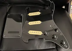 PICKGUARD W/ 
