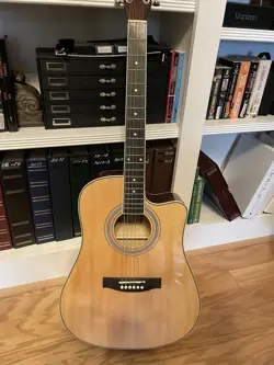GUITAR F3000EQ