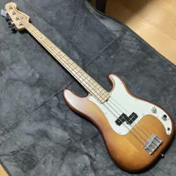 AMERICAN SPECIAL SAFE