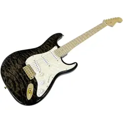 USED 2009 FENDER CUSTOM STRATOCASTER TGS09 DENNIS GALUSZKA LIMITED 3.2KG W/HSC