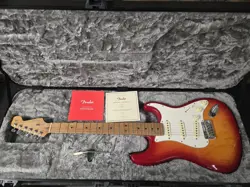2019 FENDER USA AMERICAN PROFESSIONAL STRATOCASTER ROASTED MAPLE NECK.W/OHSC