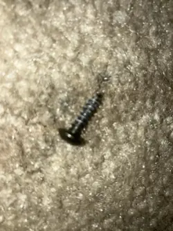 SINGLE SCREW FOR A FENDER FRONTMAN 15G AND NOTHING ELSE