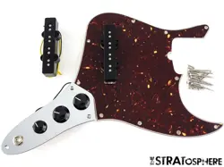 LOADED PICKGUARD TORTOISE!