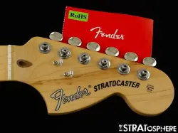 STRAT MN MAPLE.
