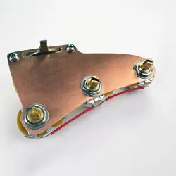 CUSTOM MODERN BRIDGE