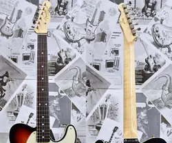 TELECASTER CUSTOM COLOR