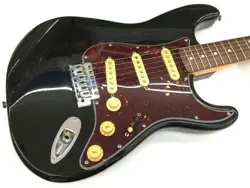 PICKGUARD USED CASE&AM