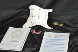 PICKGUARD NECKBUCKER