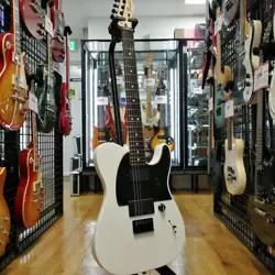 FENDER MEXICO / JIM ROOT TELECASTER EB WHT