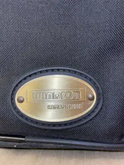 FENDER PLAYER STRATOCASTER 6 STRING PAU FERRO FINGERBOARD ELECTRIC GUITAR -...