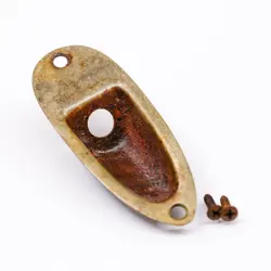 AGP ™ - FENDER ® STRATOCASTER ® STRAT ® AGED RELIC NICKEL JACK PLATE #732569