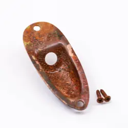 AGP ™ - FENDER ® STRATOCASTER ® STRAT ® AGED RELIC NICKEL JACK PLATE #732568