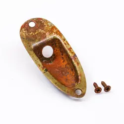 AGP ™ - FENDER ® STRATOCASTER ® STRAT ® AGED RELIC NICKEL JACK PLATE #732561