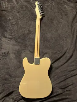 JAPAN TELECASTER FUJIGEN