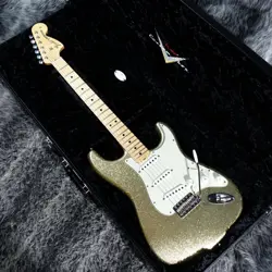 71 STRATOCASTER CLOSET