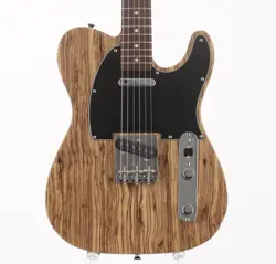 FENDER JAPANâ TL-ZEBRA