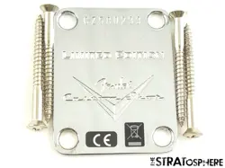 USA FENDER CUSTOM SHOP W25 CUSTOM DELUXE TELE TELECASTER NECK PLATE SERIAL #