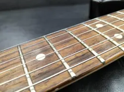 BODY MAPLENECK W/GIGCASE