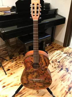 GUITAR W/CUSTOM