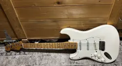 FRETBOARD ARCTIC WHITE