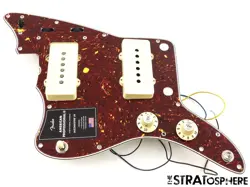 PICKGUARD MOD