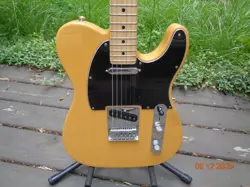 MAPLE FINGERBOARD 6-STRING