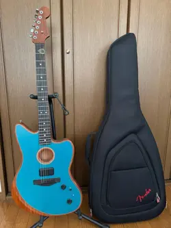 ELECTRIC GUITAR ACOUSTIC GUITAR GUITAR MUSICAL INSTRUMENT FENDER AMERICA #PF55PT