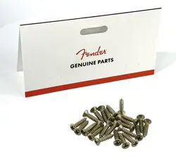 ROAD WORN 24 FENDER PICKGUARD /CONTROL/JACK PLATE MOUNTING SCREWS TELE STRAT