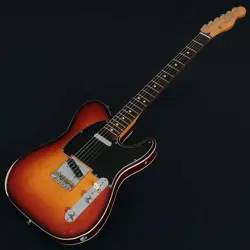 TELECASTER ROSEWOOD NO250613