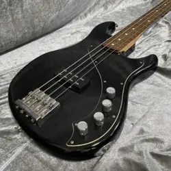 BASS IV SAFE