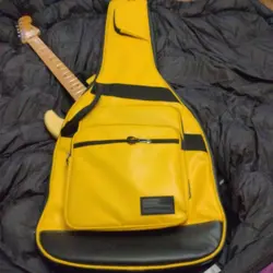 GUITAR STRATOCASTER PLAYER