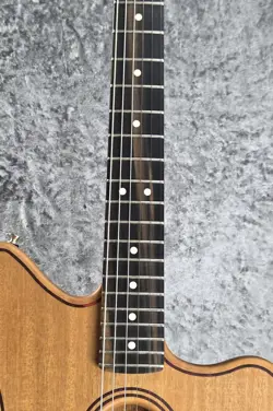 ACOUSTASONIC JAZZMASTER ALL