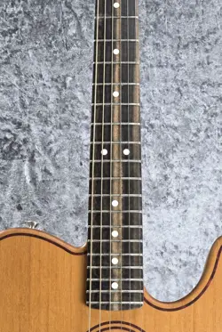 ACOUSTASONIC TELECASTER ALL