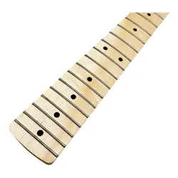 MAPLE FRETBOARD GUITAR