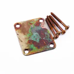 AGP  - TELECASTER  STRATOCASTER AGED RELIC GUITAR NECK PLATE & SCREWS